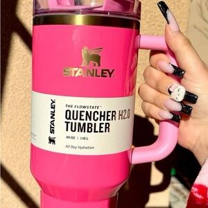 Brand New in Box - Pink Parade Stanley - 40oz